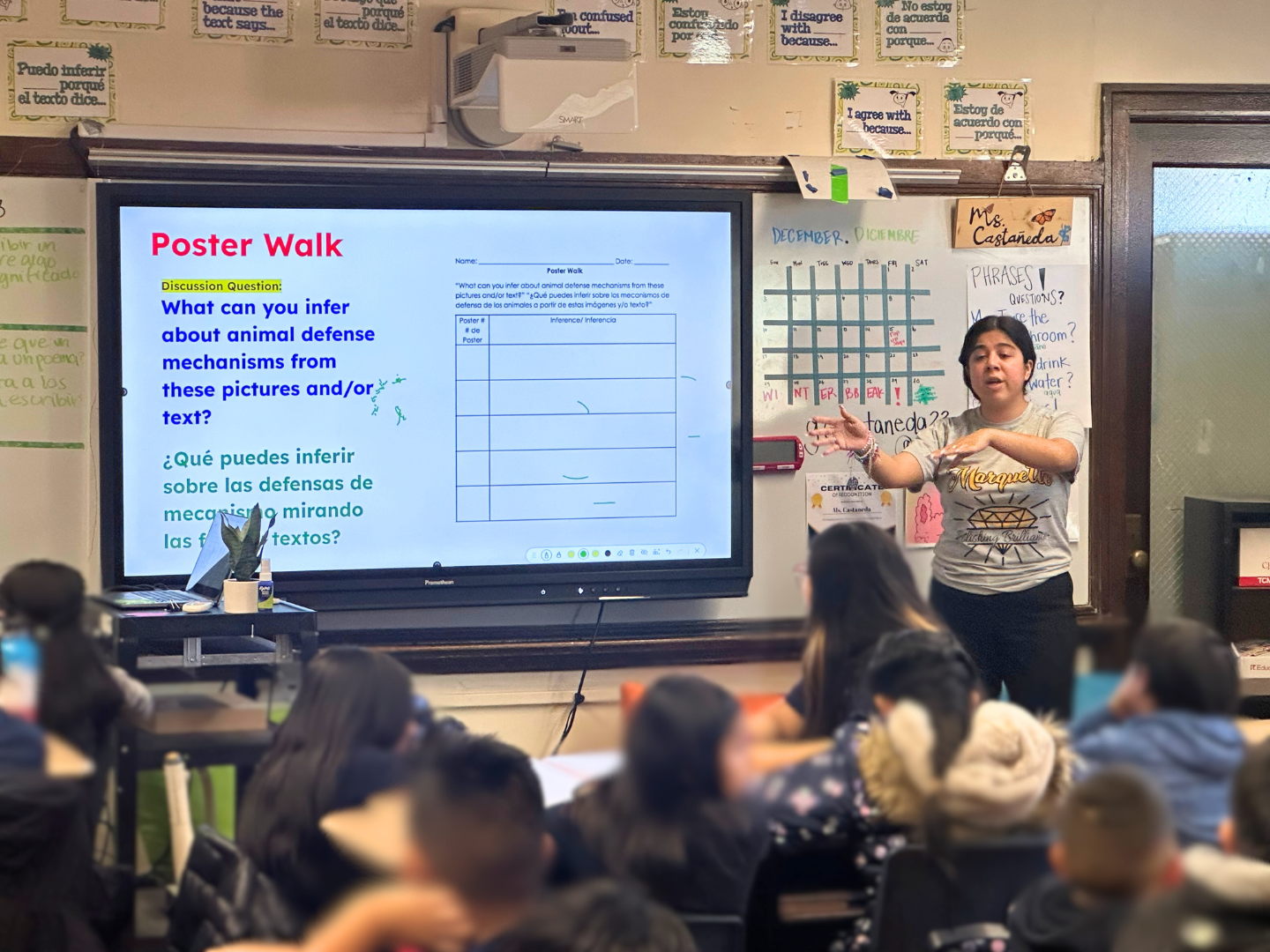 Bilingual Classroom